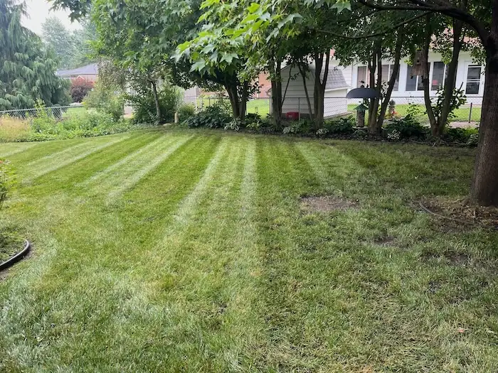 landscaping image