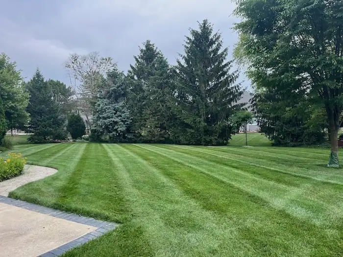 landscaping image
