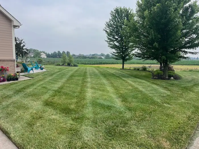 landscaping image