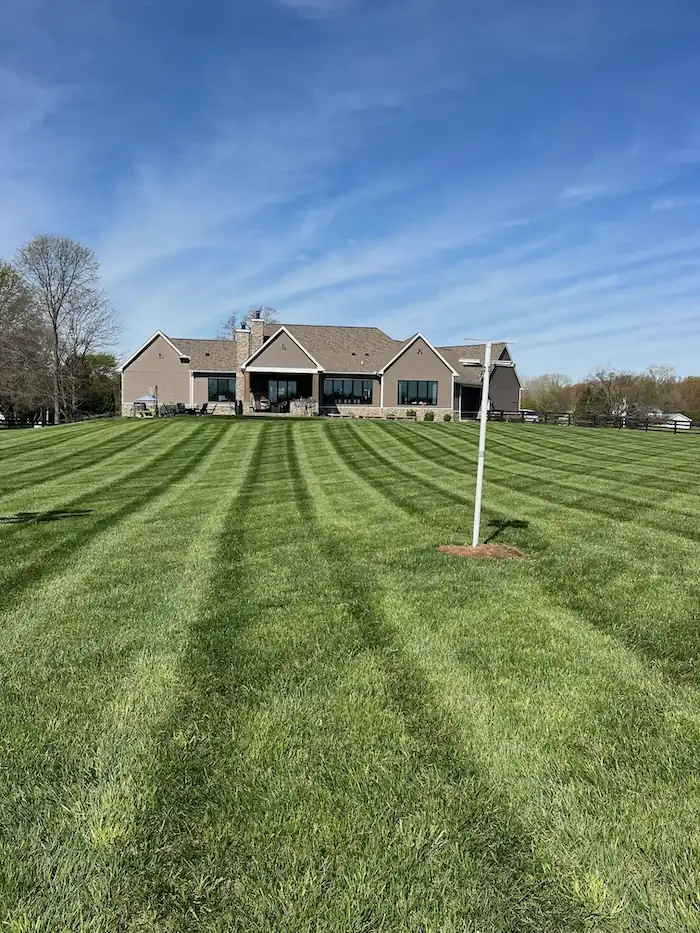 landscaping image